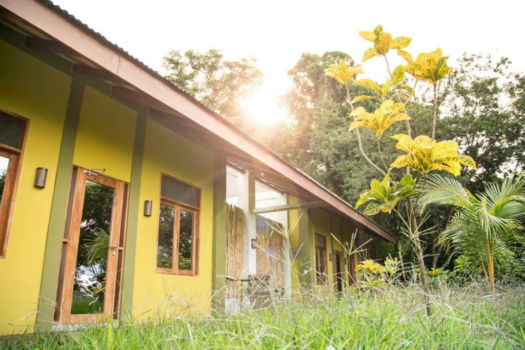 ホテルRapture Surfcamp Nicaragua サン・フアン・デル・スル エクステリア 写真